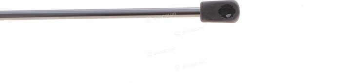 Lesjofors 8095020