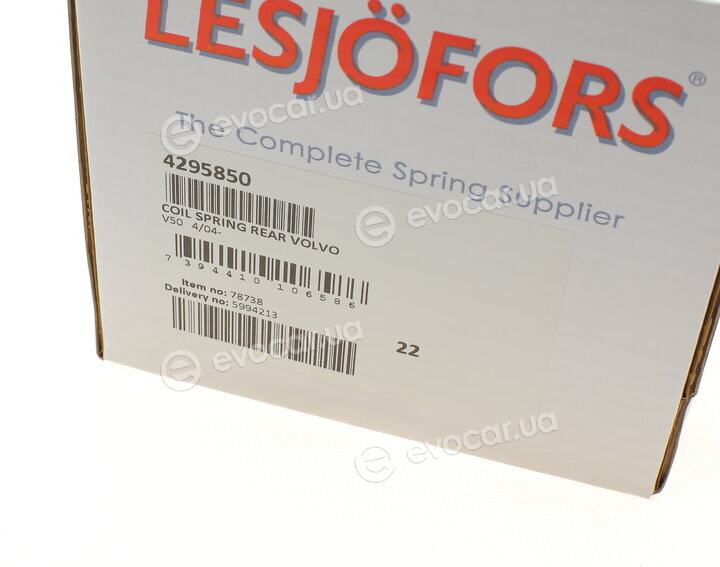 Lesjofors 4295850