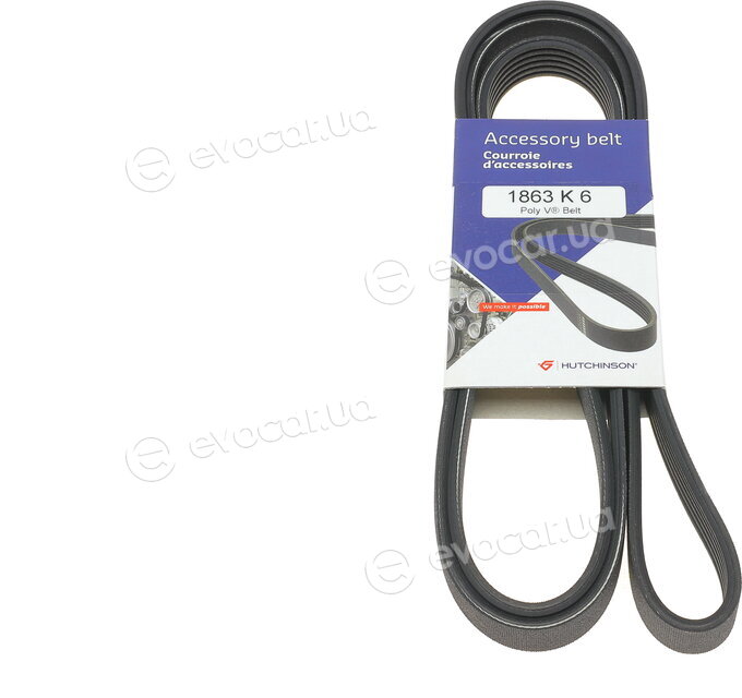 Hutchinson 1863 K 6