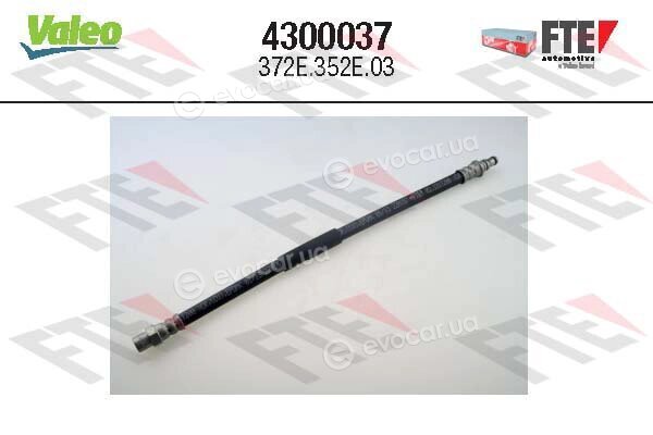 FTE 4300037