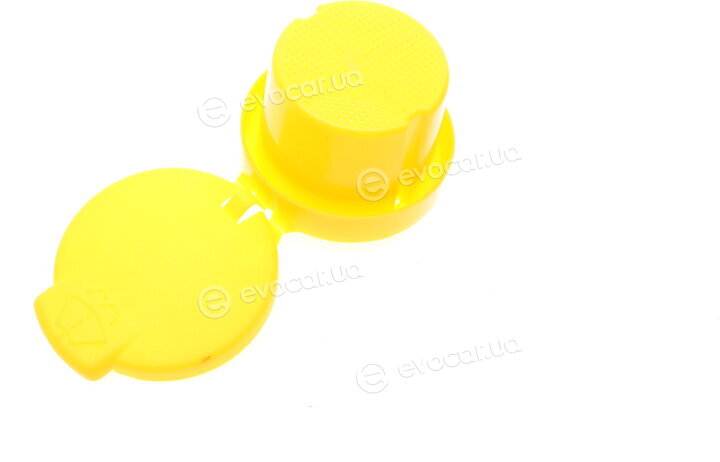 Renault / Nissan 289135972R