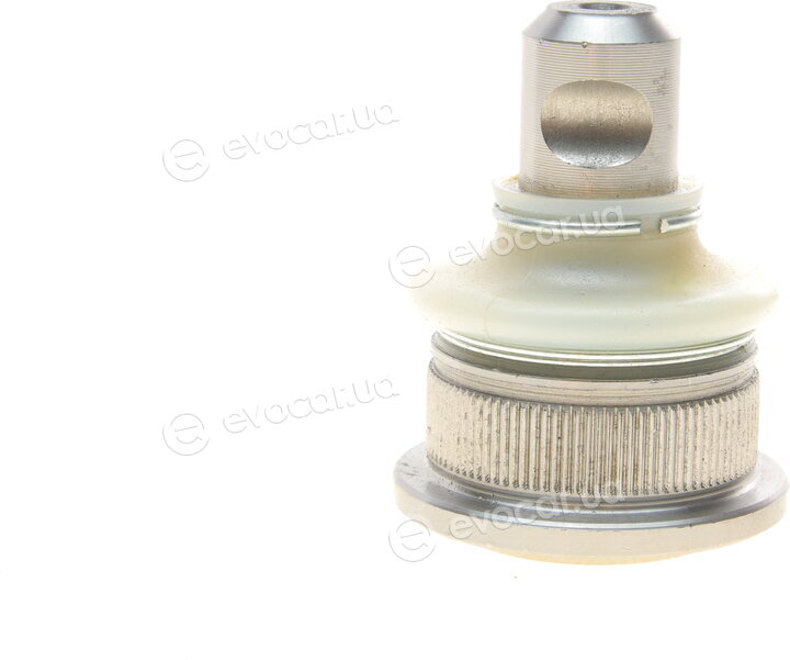 AS Metal 10RN5560