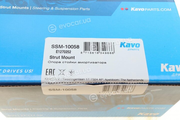 Kavo SSM-10058