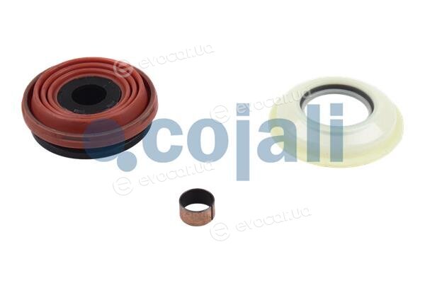 Cojali 6084020
