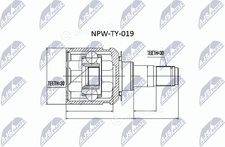 NTY NPW-TY-019