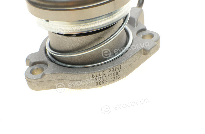 Blue Print ADBP300007