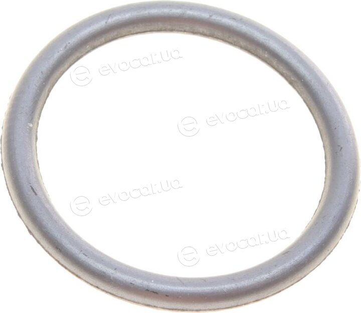 Elring 597.490