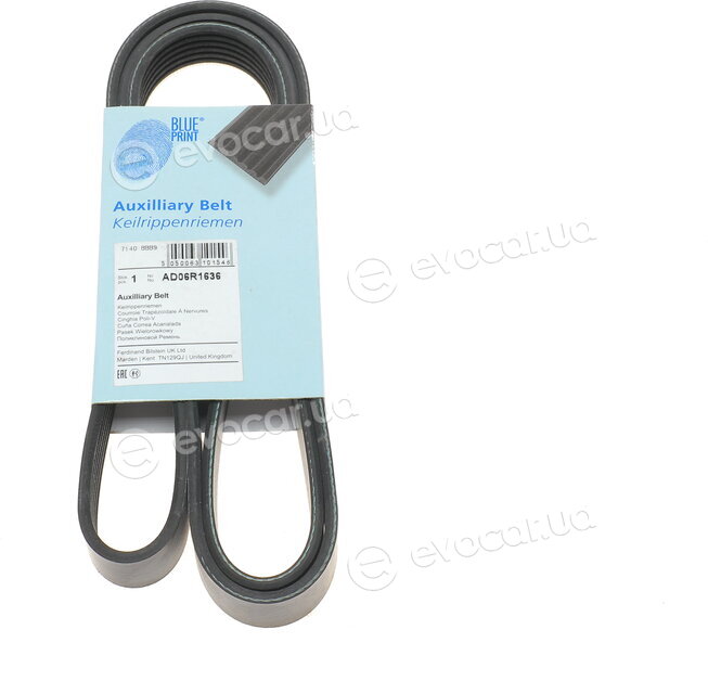 Blue Print AD06R1636
