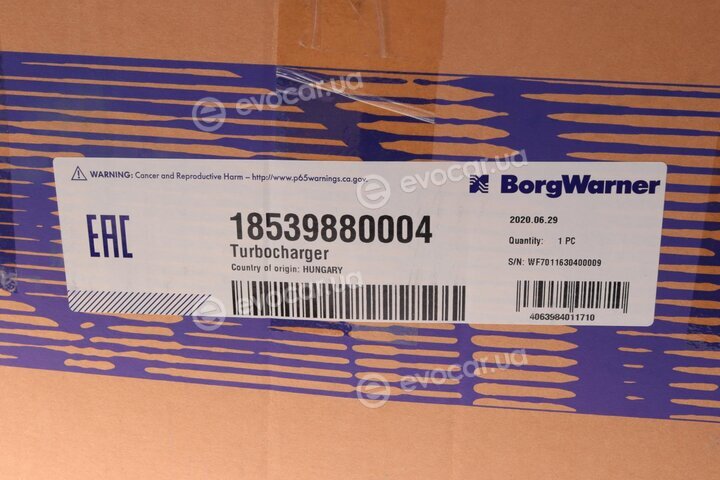 BorgWarner 18539880004