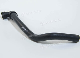 Metalcaucho / STC 77665