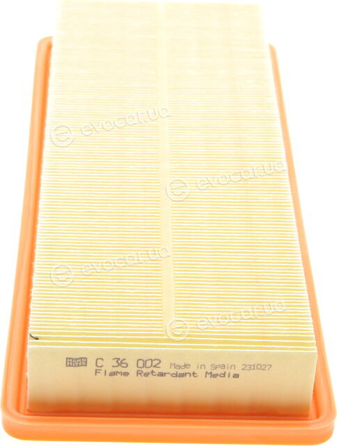 Mann C 36 002