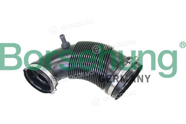 Borsehung B12328