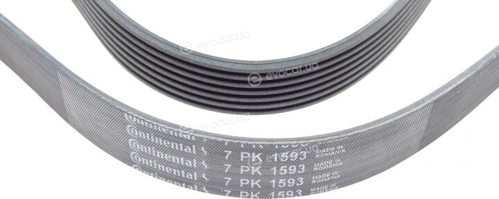 Continental 7PK1593