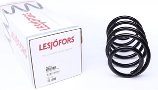 Lesjofors 4062071