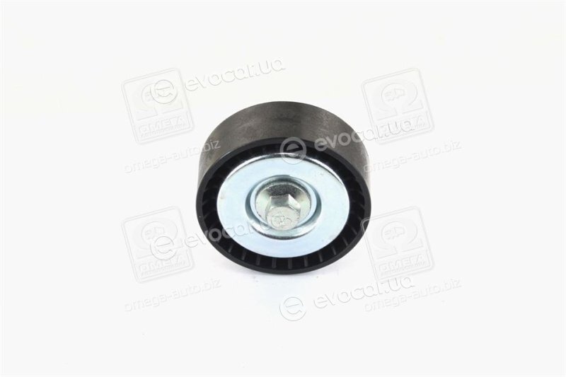 Dayco APV1024