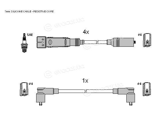 Starline ZK 0262