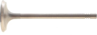 AMP PAUD072-S-0-N