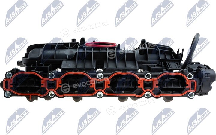 NTY BKS-VW-026