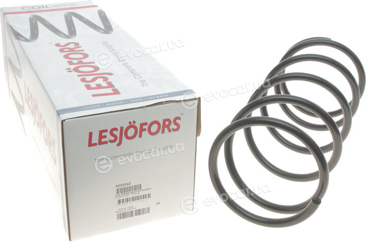 Lesjofors 4259242