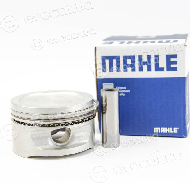 Mahle 011 08 12