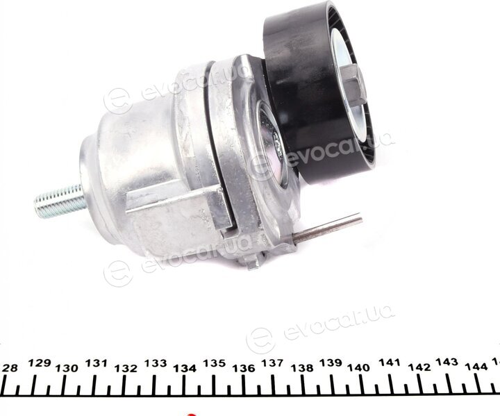 Hutchinson T0571