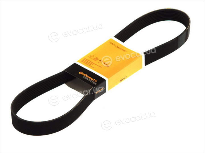 Continental 8PK2523