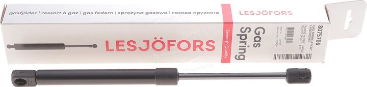 Lesjofors 8075706