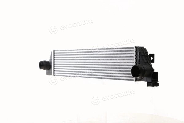 Mahle CI 386 000S