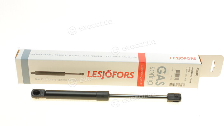 Lesjofors 8008420