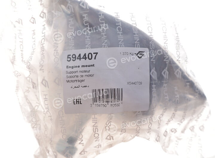 Hutchinson 594407