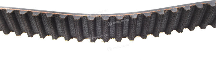 Continental CT1063WP1