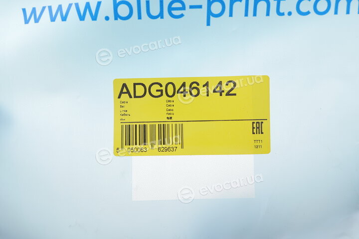 Blue Print ADG046142
