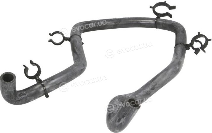 Sasic 3404097