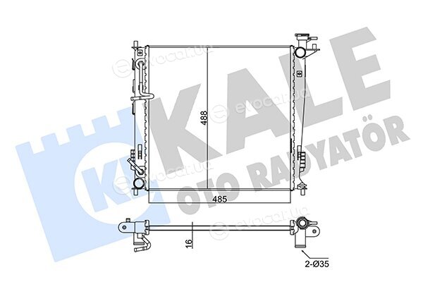 Kale 346155