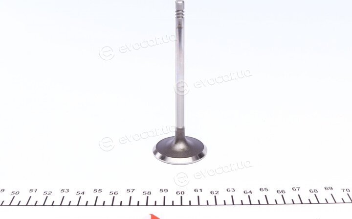 AMP PCHE005-S-0-D