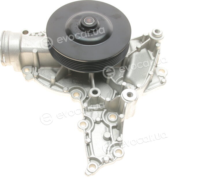 Hepu P1534