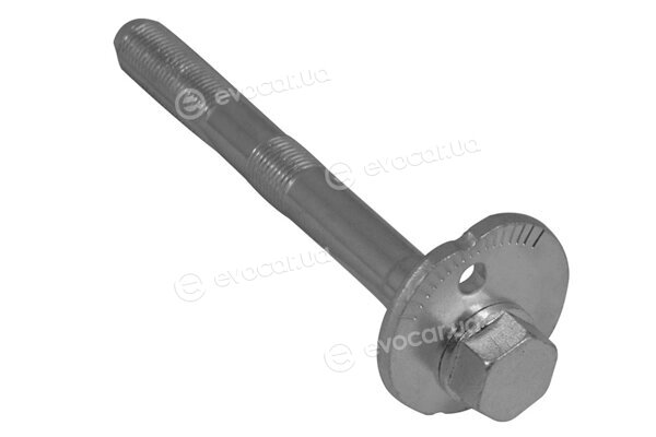 Tedgum TED44643