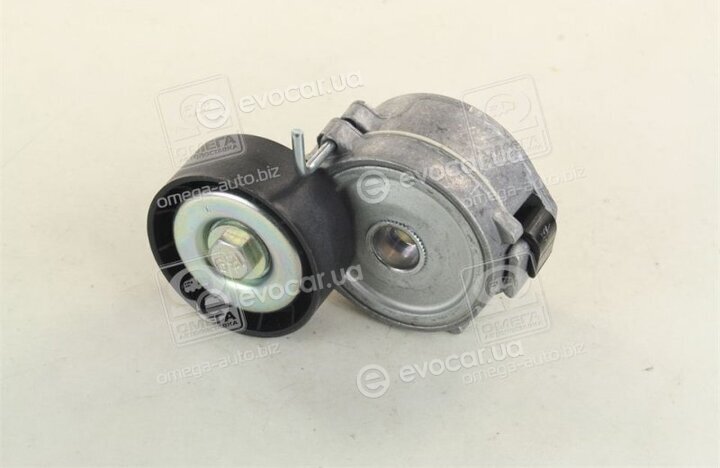 Dayco APV2464