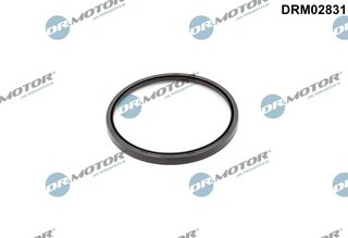 Dr. Motor DRM02831
