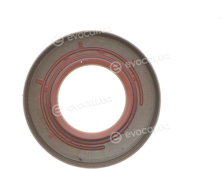 Elring 592.400