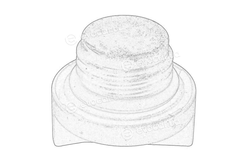 Mopar (PSA / FCA) 55222036