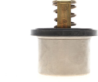 Wahler / BorgWarner 4619.80