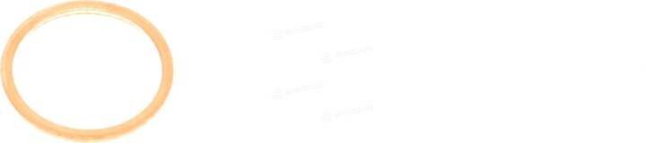 Elring 030.953