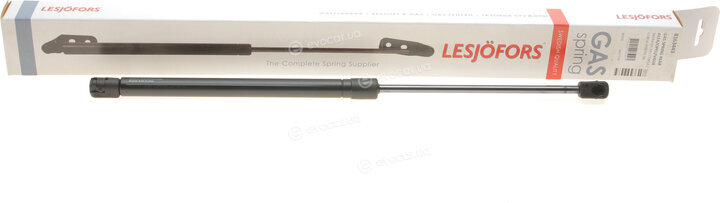 Lesjofors 8163443