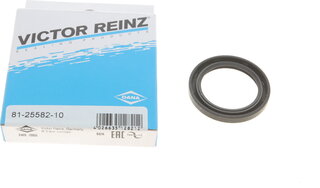 Victor Reinz 81-25582-10