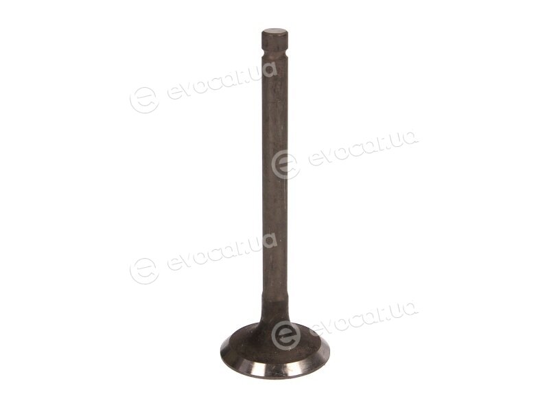 Freccia R4391/RNT