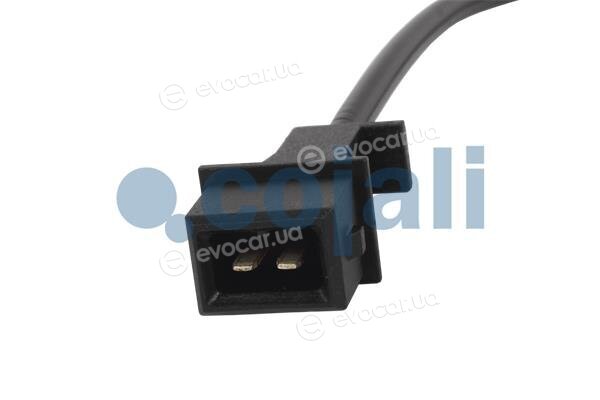 Cojali 2260320