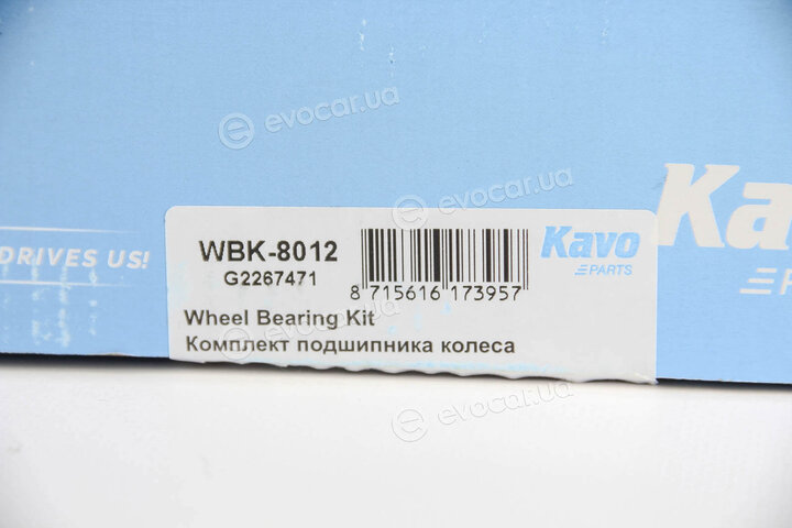 Kavo WBK-8012