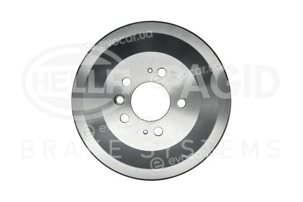 Hella Pagid 8DT 355 303-011