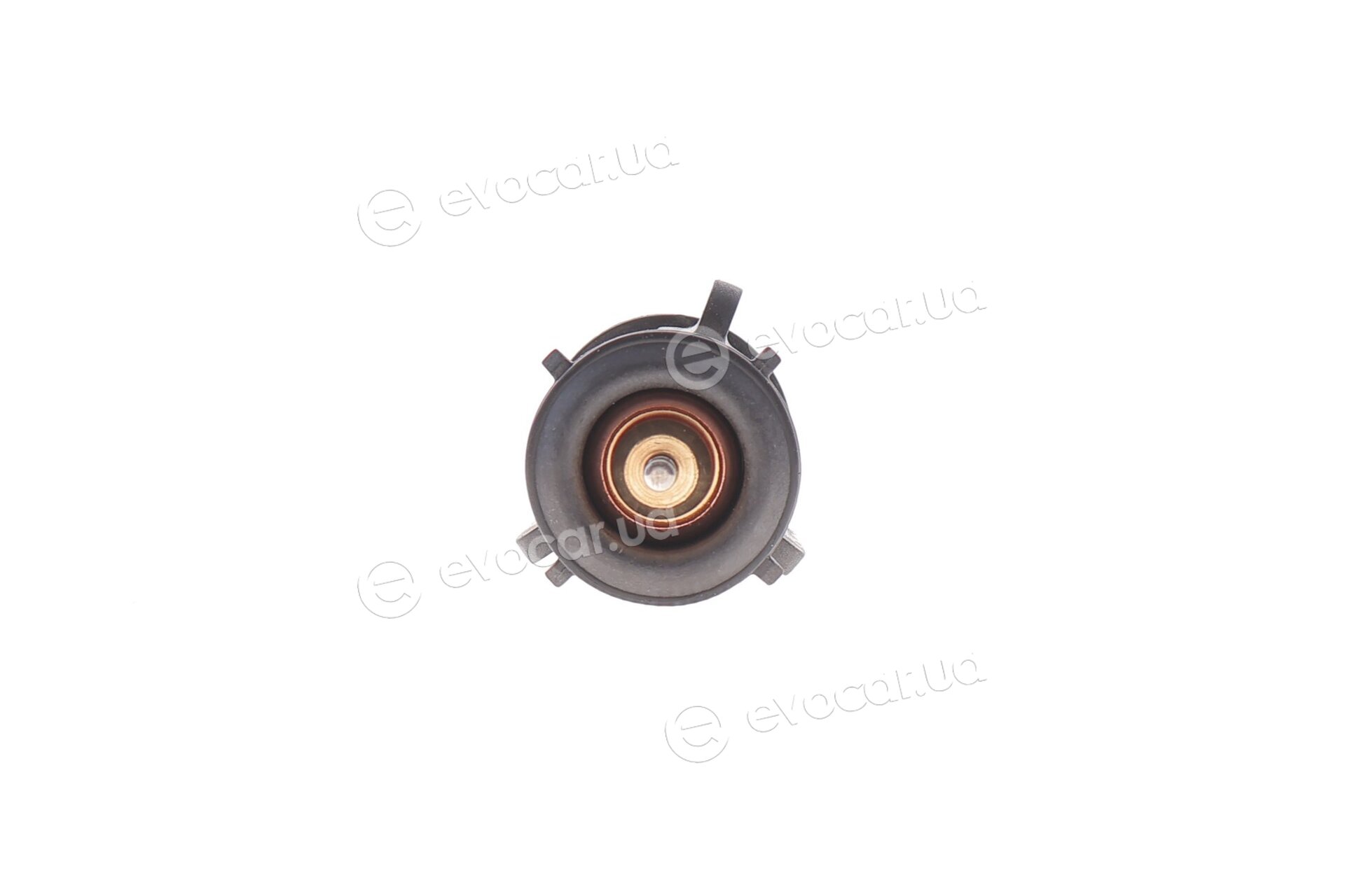 Febi 106524